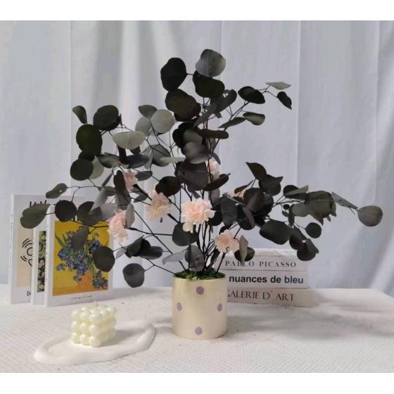 Preserved Hydrangea Potted Plant